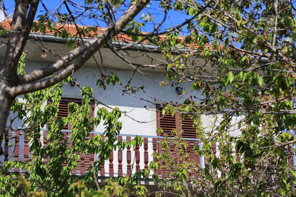 Apartment Ante Bibinje Εξωτερικό φωτογραφία