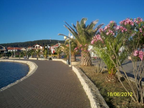 Apartment Ante Bibinje Εξωτερικό φωτογραφία